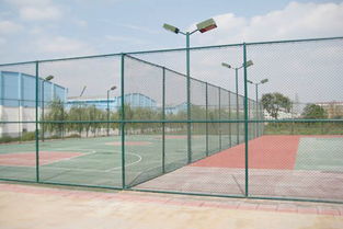 体育隔离网 学校篮球场隔离网 绅耀价格 体育隔离网 学校篮球场隔离网 绅耀型号规格